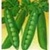 Bulk Non GMO Thomas Laxton - Pea Vegetable Garden Seed