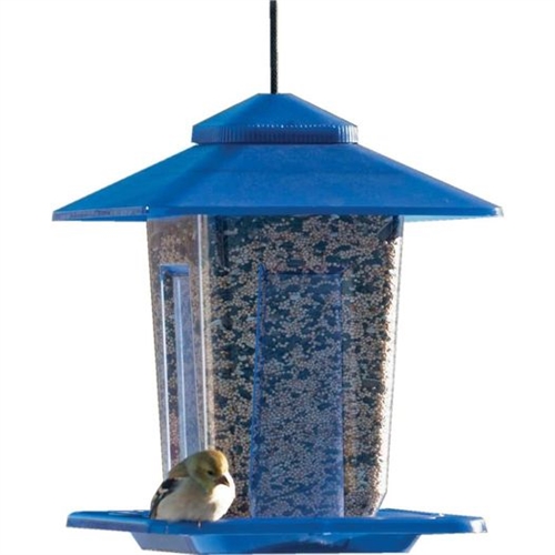 Bird Seed Feeder suspension Wildlife Feeder mélange de graines de tournesol  en plein air, bleu