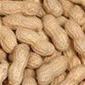 Animal Attractant: Peanut in Shell - Wild Bird Seed & Feed