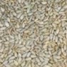 Hulled Sunflower Hearts (Fine) - Wild Bird Seed, Feed & Attractant
