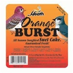 Animal Attractant: Suet Cake - Orange Blast - Wild Bird Seed & Feed