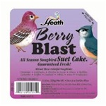 Animal Attractant: Suet Cake - Wild Berry - Wild Bird Seed & Feed