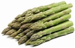 Bulk Non GMO Asparagus Seed - Jersey Knight  Asparagus Vegetable Seed