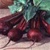 Bulk Non GMO Beet Seed - Detroit Dark Red Vegetable Seed