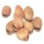 Shop Fava Bean Seeds - Premium Fava Bean Plant Seeds in Bulk | Mainstreet Seed & Supply