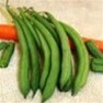 Bulk Non GMO Bean Seed - Kentucky Wonder Bush Vegetable Seed