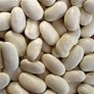 Bulk Non GMO Bean Seed - White Half Runner Vegetable Seed