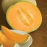 Bulk Non GMO Cantaloupe Seed - Hale's Best Jumbo Vegetable Seed