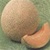 Bulk Honey Rock - Cantaloupe Seeds - Cantaloupe Seed