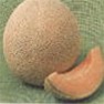 Bulk Honey Rock - Cantaloupe Seeds - Cantaloupe Seed