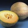 Bulk Iroquois - Cantaloupe Seeds - Cantaloupe Seed
