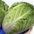 Bulk Non GMO Chinese Michili - Cabbage Vegetable Seed