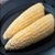 Bulk Non-GMO Hybrid Ambrosia (Bi-Color) - Sweet Corn Vegetable Seed