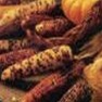 Bulk Non GMO Miniature (Carousel) - Ornamental Indian Corn Seed