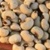 Bulk Purple Hull Pinkeye Cowpea Seeds - Heirloom Pea Variety Seeds
