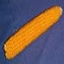 Bulk Yellow (Purdue 410) - Pop Corn Seeds - Garden Seed