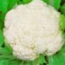 Bulk Non GMO Snowball Y Improved - Cauliflower Vegetable Seed