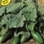 Shop Bulk Spacemaster Cucumber Seeds - Premium Non-GMO Cucumber Seeds | Mainstreet Seed & Supply