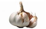 Bulk Non GMO Garlic Vegetable Seed