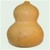 Buy Premium Quality Bulk Non GMO Bottle - Gourd Vegetable Garden Seed