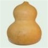 Buy Premium Quality Bulk Non GMO Bottle - Gourd Vegetable Garden Seed
