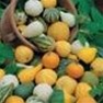 Bulk Non GMO Small Mix - Gourd Vegetable Garden Seed