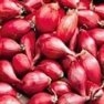 Bulk Non GMO Red Onion Sets - Onion Vegetable Garden Seed