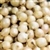 Bulk Non GMO White Onion Sets - Onion Vegetable Garden Seed
