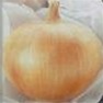 Bulk Non GMO Walla Walla - Onion Vegetable Garden Seed