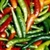 Buy Anaheim Chili Pepper Seeds - Bulk Hot Pepper Seeds | Mainstreet Seed & Supply