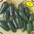 Bulk Non GMO Jalapeno - Pepper Vegetable Garden Seed