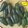 Bulk Non GMO Jalapeno - Pepper Vegetable Garden Seed