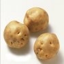 Bulk Irish Cobbler Potato Seed - Non GMO Vegetable Garden Seeds