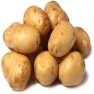Bulk Kennebec Potato Seeds - Non GMO Vegetable Garden Seeds