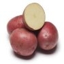 Bulk Red La Soda Potato Seeds - Non GMO Vegetable Garden Seeds