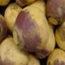Bulk Non GMO American Purple Top - Rutabaga Vegetable Garden Seeds