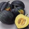 Bulk Acorn (Table King Bush) - Squash Seeds - Vegetable Garden Seed