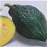 Bulk Non GMO Hubbard (Green) - Squash Vegetable Garden Seed