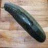 Bulk Non GMO Zucchini (Black Beauty) - Squash Vegetable Garden Seed