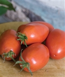 Bulk Non GMO Amish Paste - Tomato Vegetable Garden Seed
