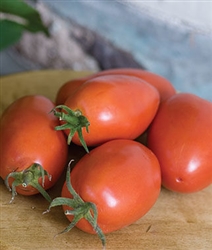Bulk Non GMO Amish Paste - Tomato Vegetable Garden Seed