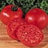Bulk Non GMO Burpee Big Boy - Tomato Vegetable Garden Seed
