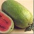 Bulk Non GMO Charleston Grey - Watermelon Vegetable Garden Seed
